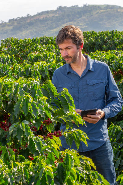 istock Farmer in coffee plantation. 2187703805