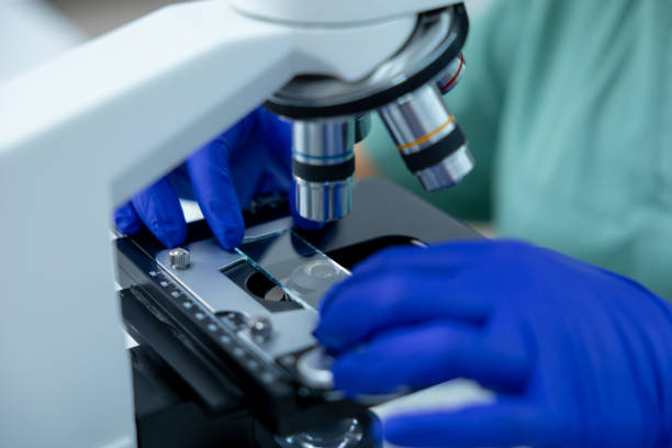 istock Unrecognizable female doctor in clinic focused on scientific study using microscope 2187714736