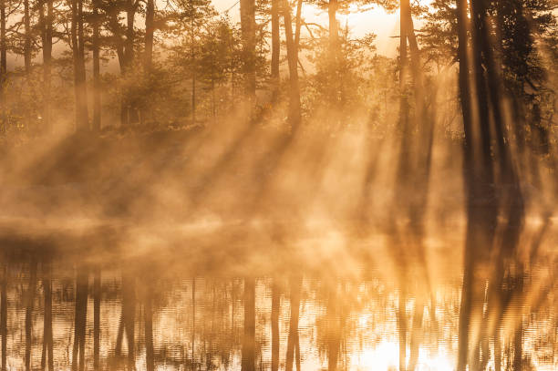 istock Stunning sunrise through trees and reflected on still lake 2187715986
