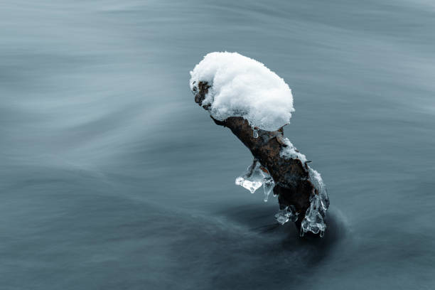 Ice on twig in water