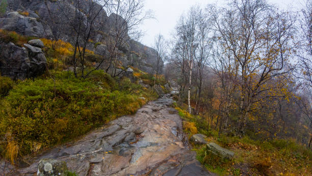 istock Misty Forest Hiking Trail in Autumn 2187720267