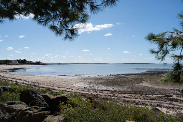 istock beach in Fouras-les-bains in France 2187723879