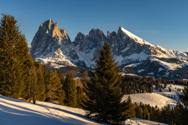 istock Afternoon at the Alpe di Siusi 2187725859