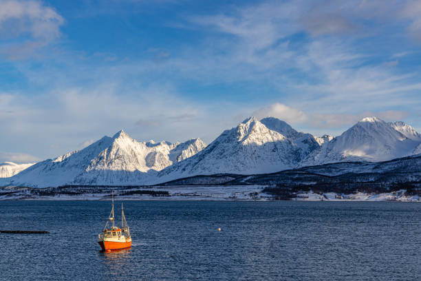 istock Fjord panorama near Sjusnes 2187727582