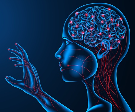 Human Perception Touch Human Sense Of Touch Stock Illustration - Download Image Now ...