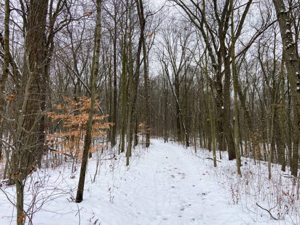 istock Ott Biological Preserve, Michigan 2187730515