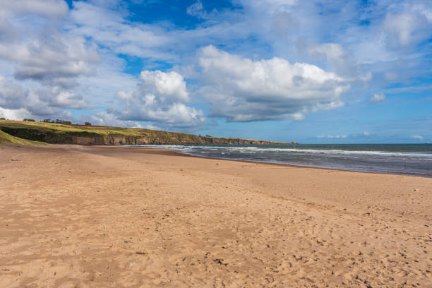 istock The beach and cliffs at Lunan Bay, Scotland, UK 2187730560