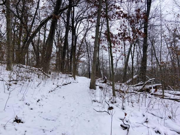 istock Ott Biological Preserve, Michigan 2187730652
