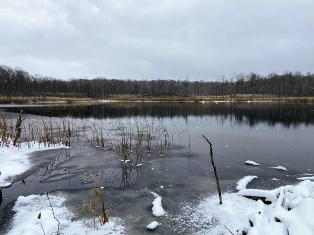 istock Ott Biological Preserve, Michigan 2187730700