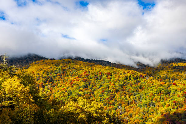 istock Great Smoky Mountains National Park 2187731353