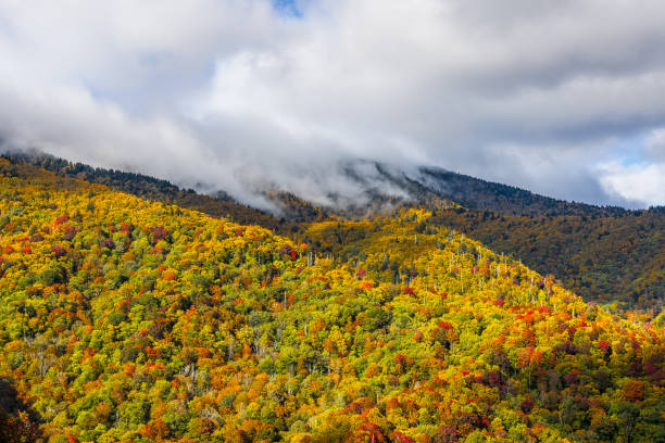 istock Great Smoky Mountains National Park. 2187731443