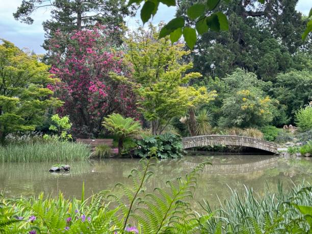 istock Botanical Garden, Christchurch 2187732038