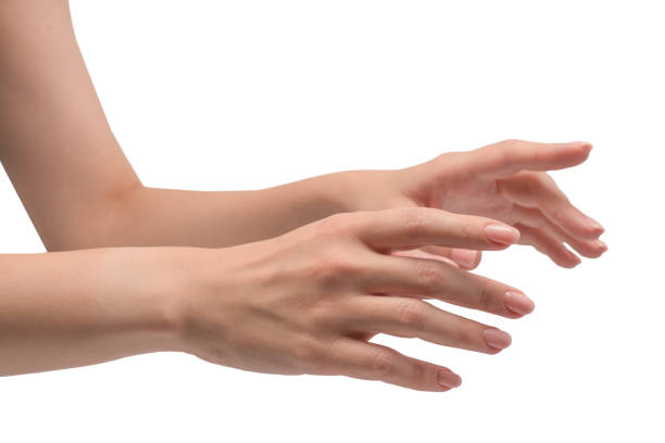 istock Woman hands with nude manicure isolated on a white background. 2187732167