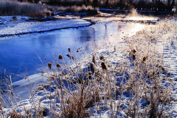 Cold Morning Along River Scenic Sunrise Landscape - Frozen vegetation coated with frost with warm sunrise light and cool winter shadows. Nature scenic along Eagle River on very cold morning.
