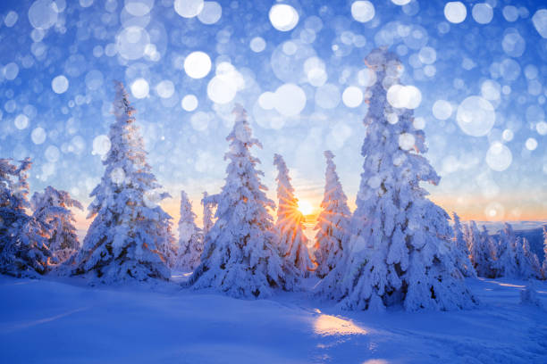 istock Snowy Trees at Sunrise with Bokeh Effect 2187738019
