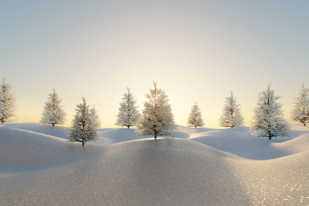 istock 3D rendering of wavy snow landscape with white spruce trees in the evening sunlight 2187738407