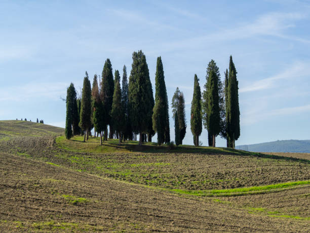 istock Tuscany rural landscape 2187739429