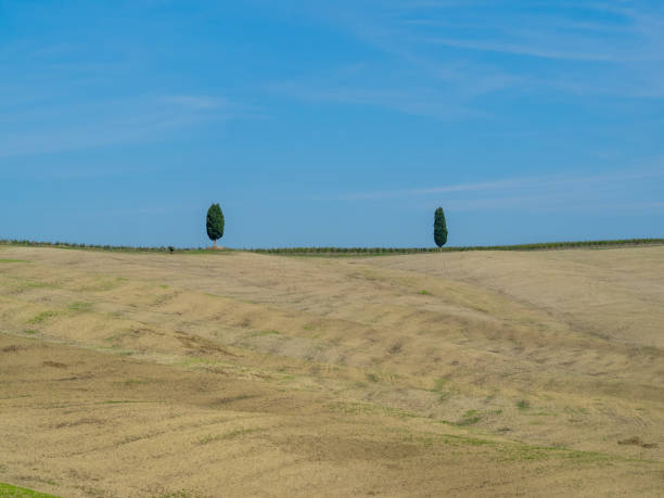 view of plowed field against cloudy sky