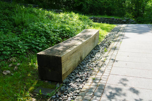 istock A huge beam made from a single tree trunk as a bench in a summer park. The concept of using natural resources in human life 2187742440