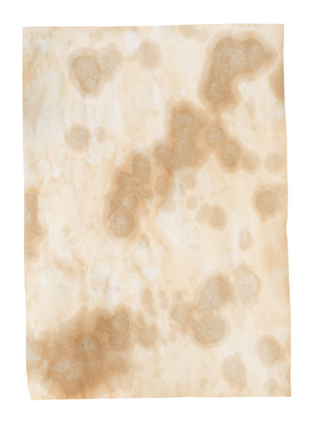 Piece of paper in bad condition, blank with space for your copy.