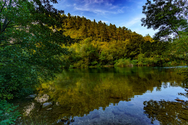 Beautiful view of a calm river hidden among dense plants and trees