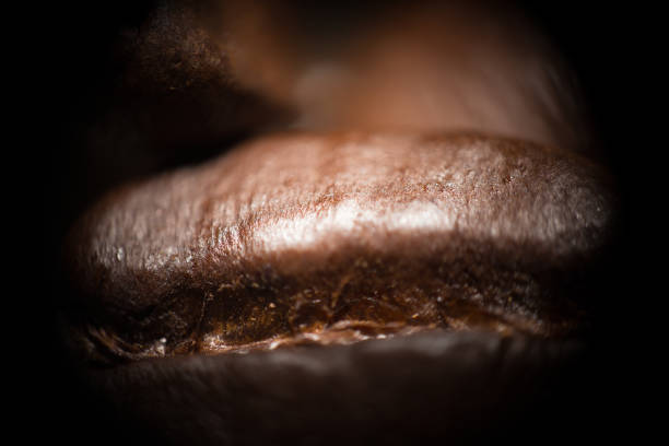 Macro Shot of Coffee Beans.