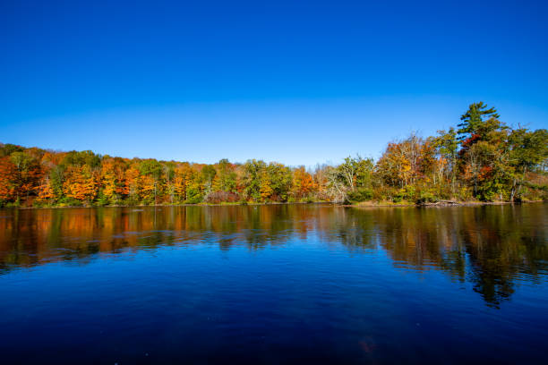 istock Colorful trees on the Wisconsin River in early October 2187755907