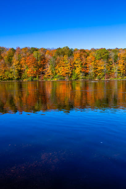 istock Colorful trees on the Wisconsin River in early October 2187755919