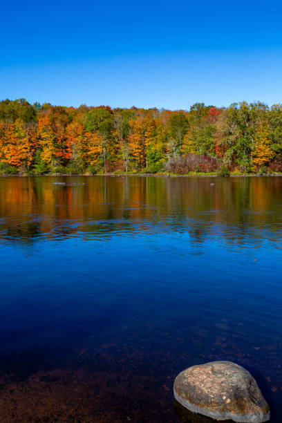 istock Colorful trees on the Wisconsin River in early October 2187755928