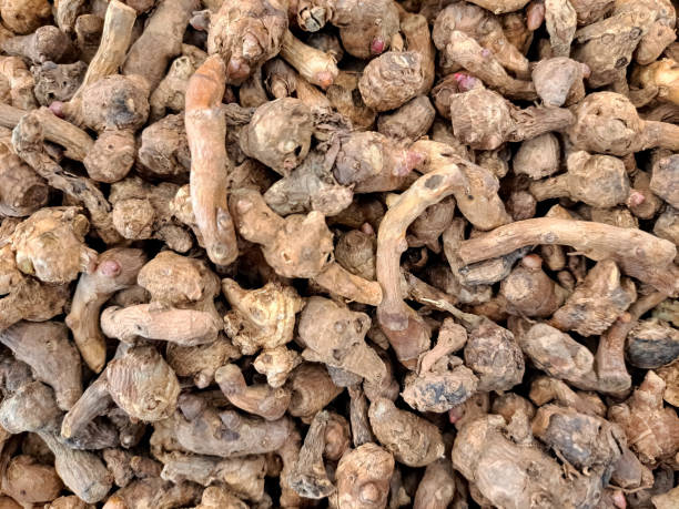 istock Full Frame Of Jahe Or Ginger. Top View. 2187756031