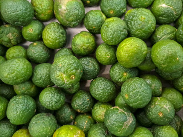 Lime isolated on white background with clipping path.