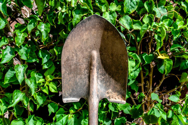 Home gardening: overhead view of plant pots, shovel and dirt arranged at the left border of agreen wooden table leaving useful copy space for text and/or logo at the right.
