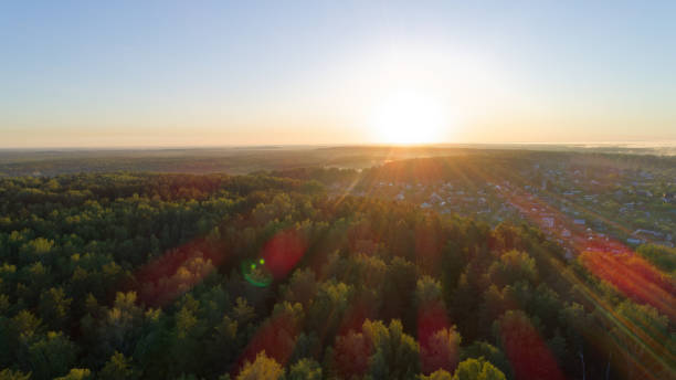 istock The sun is setting over a forest, casting a warm glow over the trees 2187759256