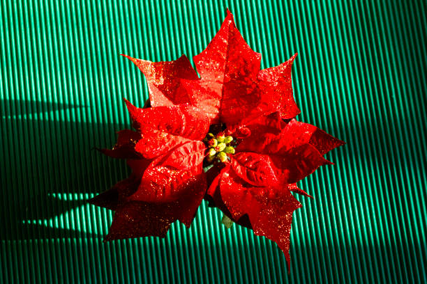 Glowing Christmas star light decoration for design purpose
