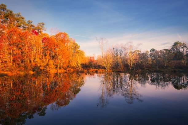 istock Autum Pond Colors 2187761296
