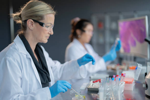 istock Medical Lab Research 2187764059