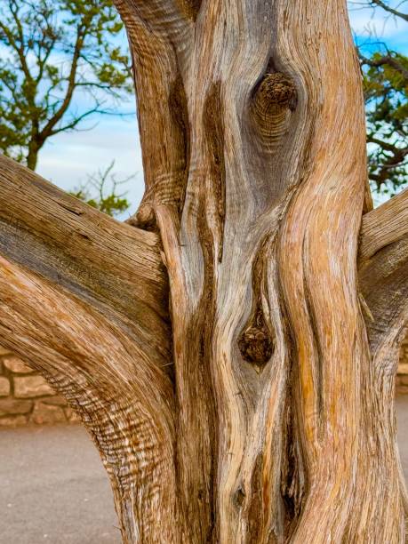 istock Grand Canyon National Park 2187773809