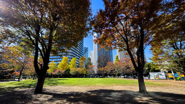 istock The beautiful views in Tokyo 2187773917