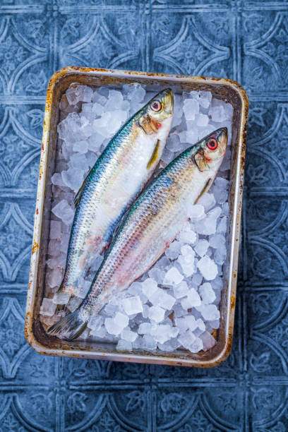 Freshness herring on ice