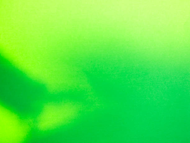 istock Green beige background wall shadow light summer sunight overlay nature on room cement floor abstract blur muckup effect minimal platform for presentation product backdrop, wallpaper template display 2187780498