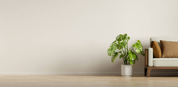 istock Modern Living Room with Monstera Plant and Minimal Sofa 3D Render 2187783628