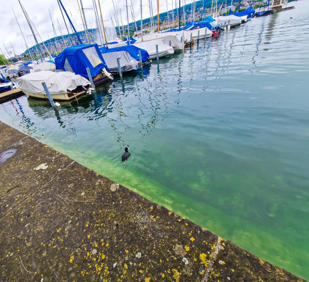 Lake ans boats