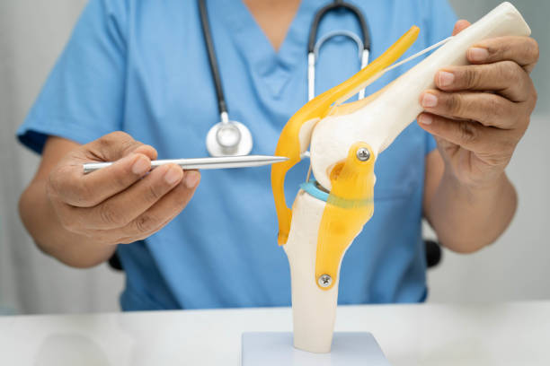 istock Asian doctor holding spinal nerve and bone model, Lumbar spine displaced herniated disc fragment for treatment medical in the orthopedic department. 2187790128