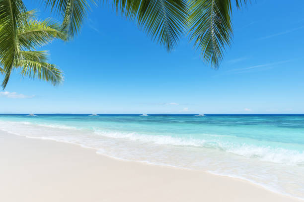 istock Tropical paradise beach copy space scene for background or wallpaper 2187790897