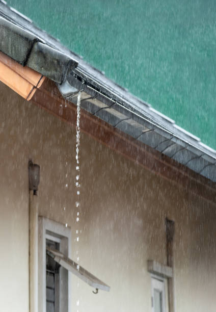 istock Clogged rain gutter, dirty roof gutter, with wet fallen leaves. 2187791199