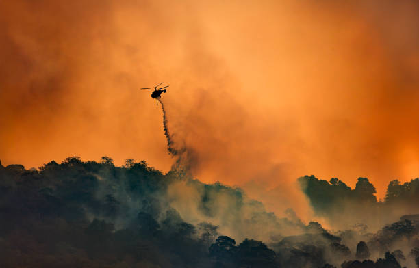 istock Fire fighting helicopter carry water bucket to extinguish the forest fire. 2187791379