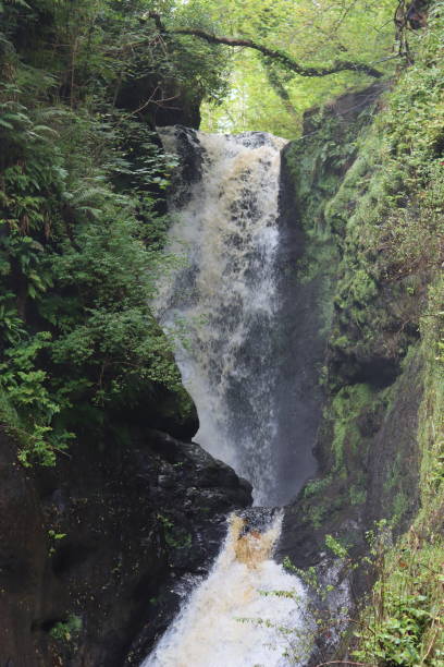 istock Dramatic waterfall in a woodland in summer 2187792796
