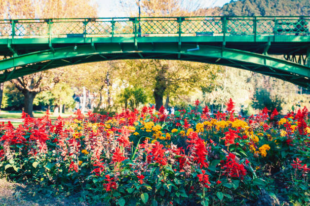 A colorful array of flowers blooms in a sunny park, beneath a charming green bridge. The vibrant reds and yellows create a captivating contrast against the lush greenery.