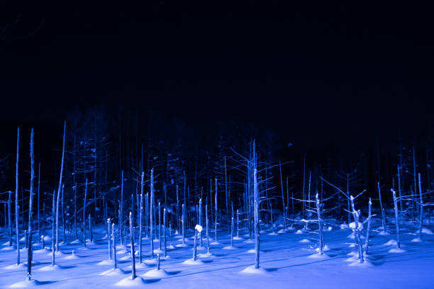 Illuminated winter lake in Biei