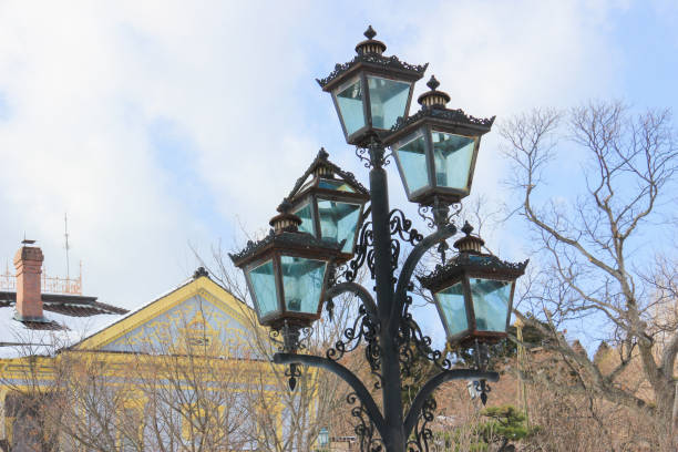 istock Retro street lamp and dead winter tree 2187793590